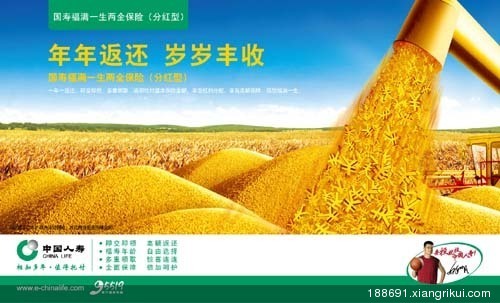 33岁<em>女士</em>重疾+<em>养老保险</em>规划_保险案例_向日葵