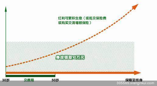 平安鑫盛终身寿险(分红型)的产品特点