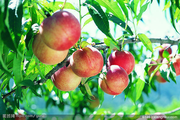 股市一再挫、银行一再降息, <em>职介所</em>的<em>老板</em>投资