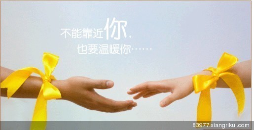 中国人寿保险公司_人寿老总李勇_信诚人寿收入