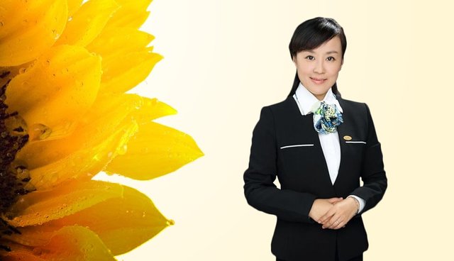 杨卉的原创投保方案