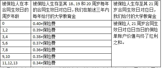 金華意外保險,人身意外保險,團體意外保險,企業意外保險,旅遊意外保險