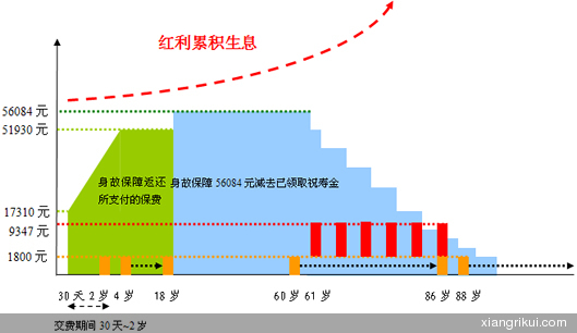 鸿运人生两全保险 鸿福人生两全保险分红型条款